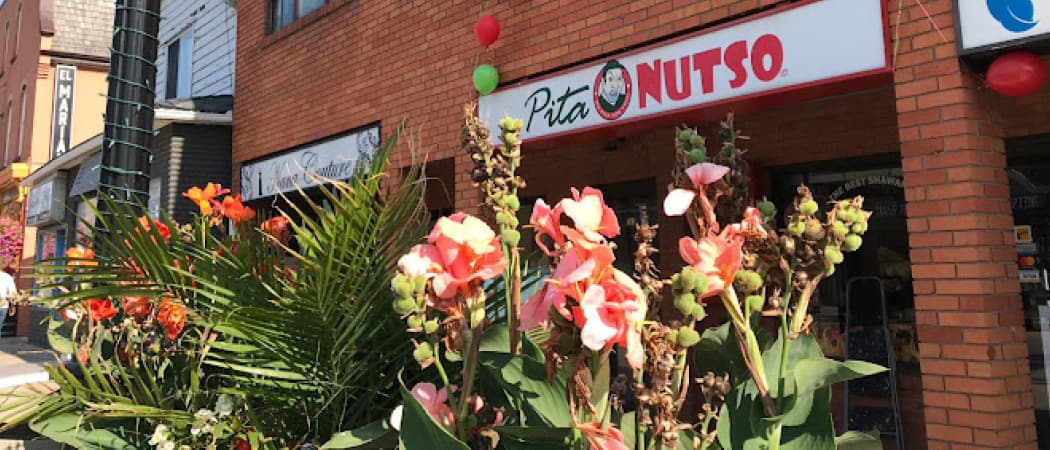 Pita Nutso