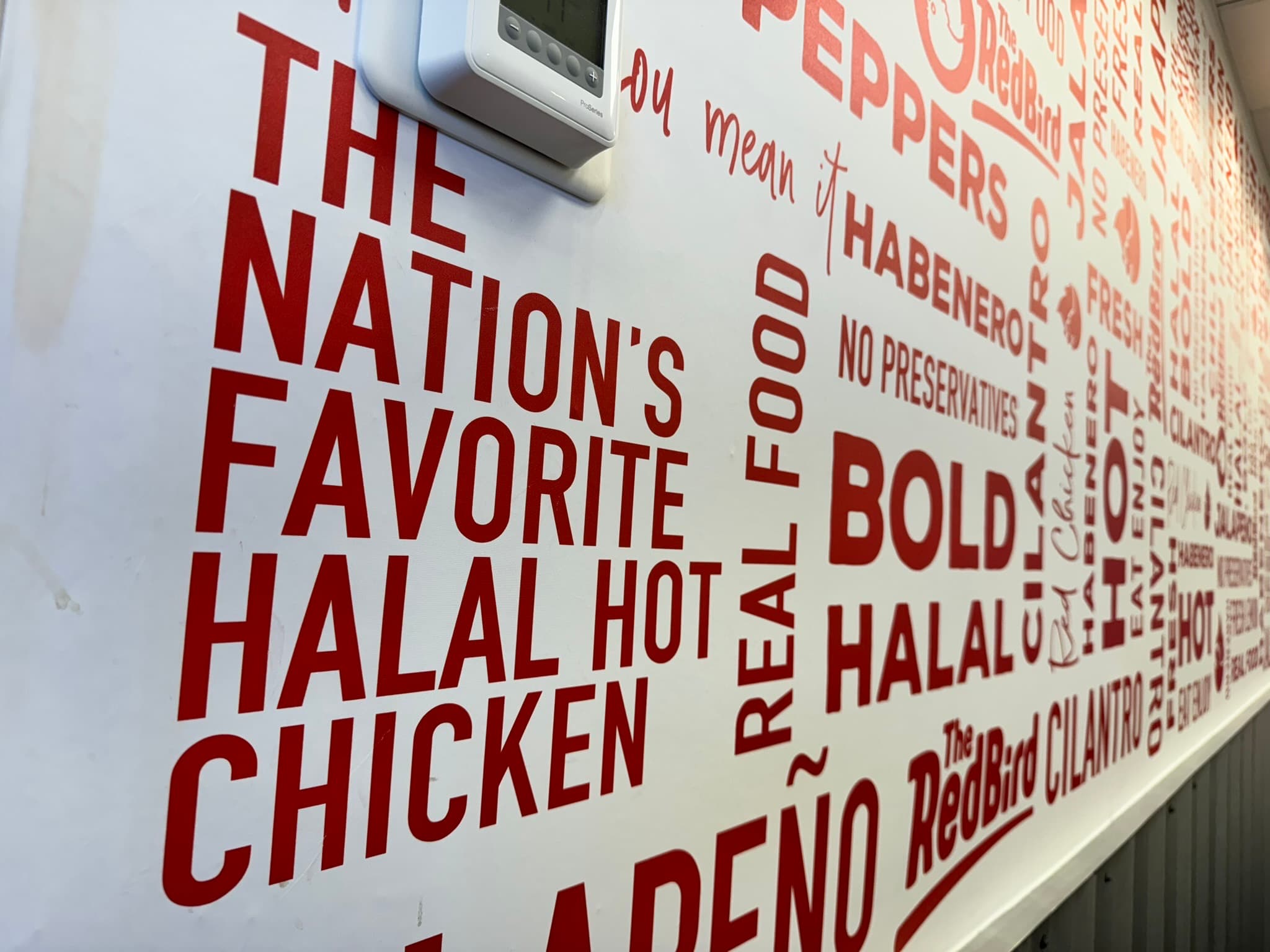 Photo of The Red Bird