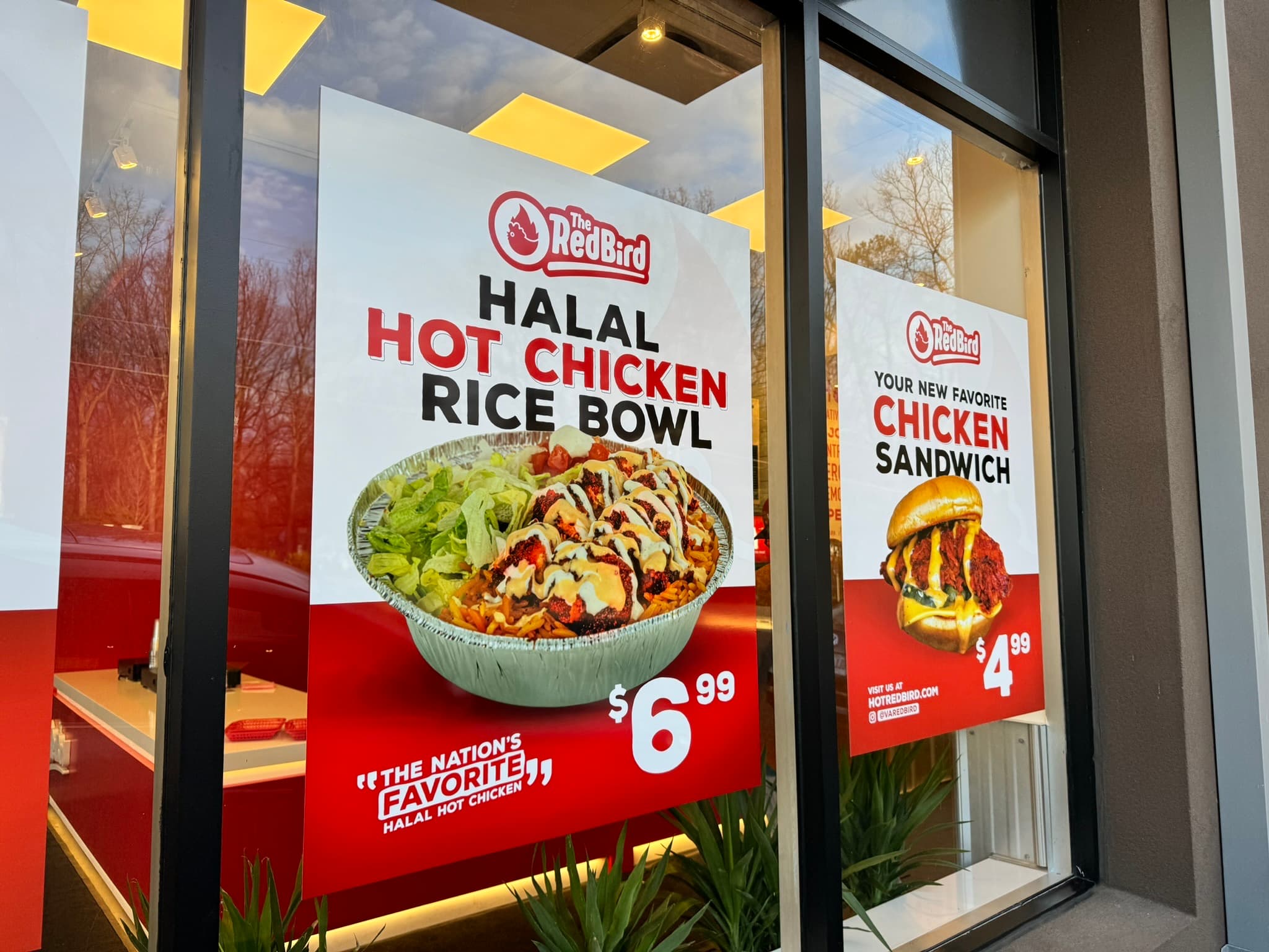 Photo of The Red Bird