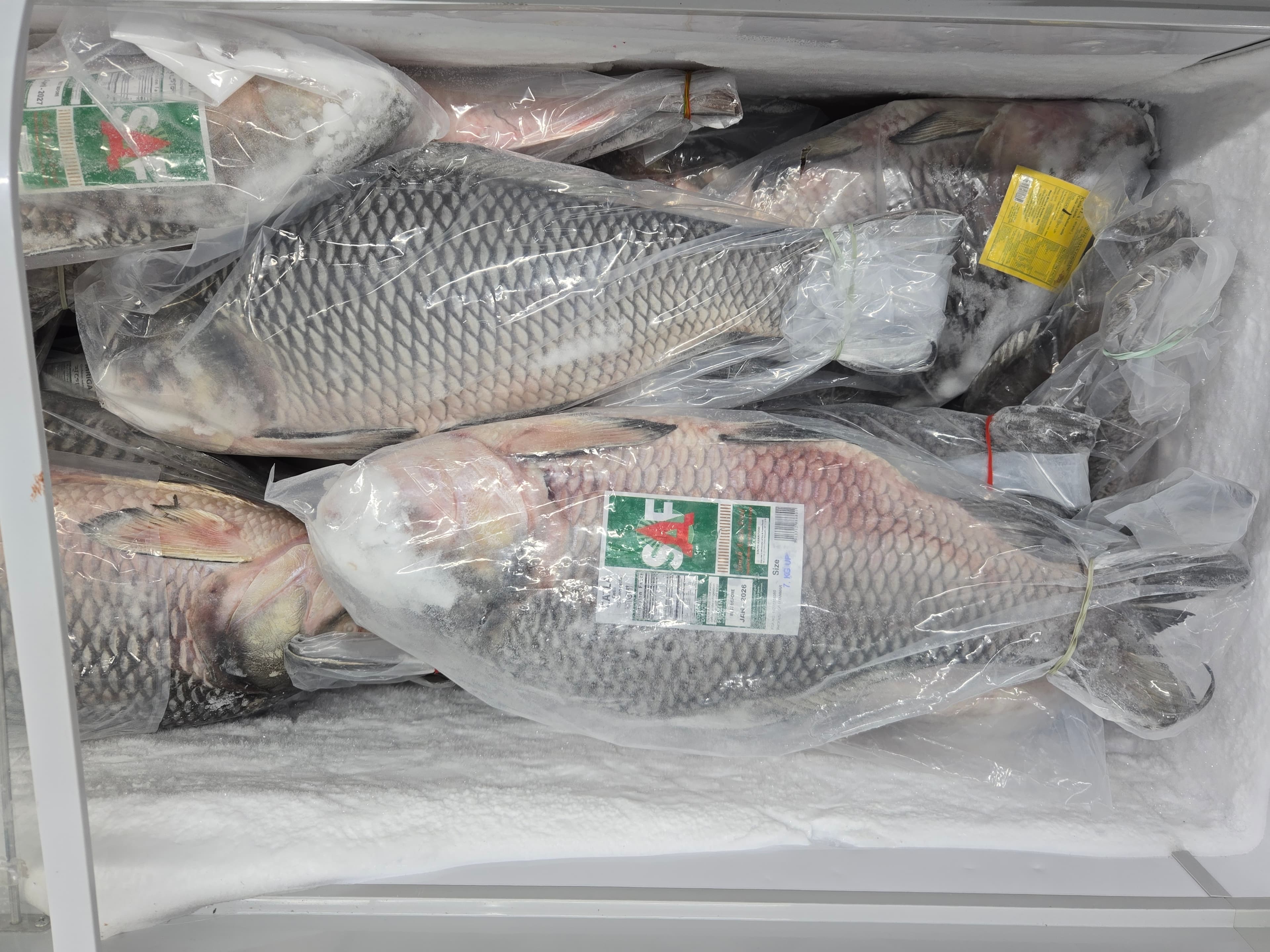 Photo of Krispy Krunchy Chicken