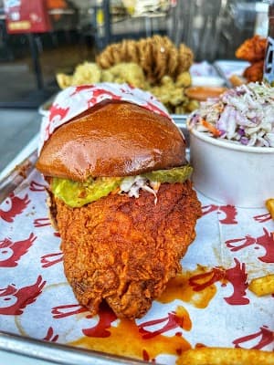 Crimson Coward in Long Beach