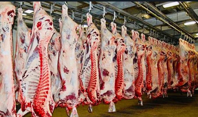 A-One Grocery & Halal Meat