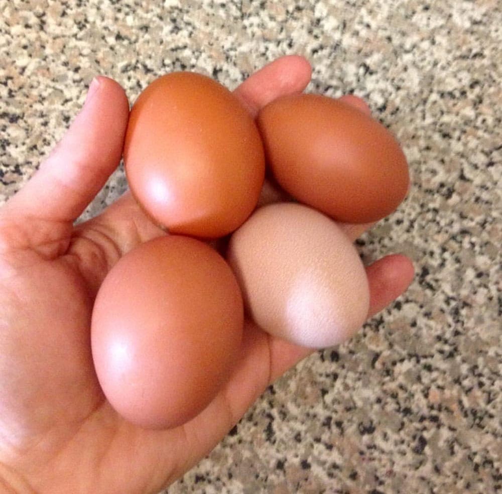 Photo of PCH Poultry & Market