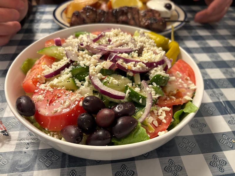 The Greek Souvlaki House