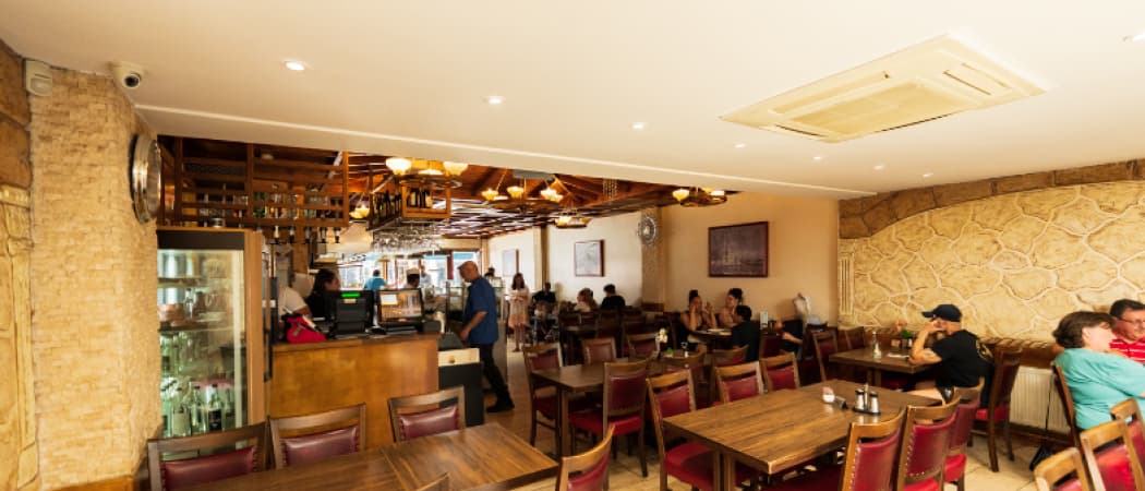 Istanbul Iskembecisi