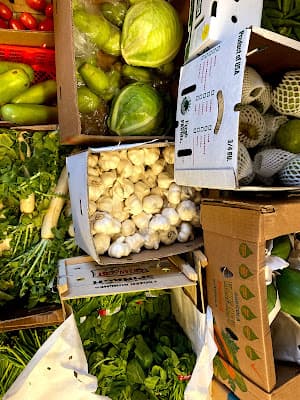 Sycamore Halal Meat & Fish Market