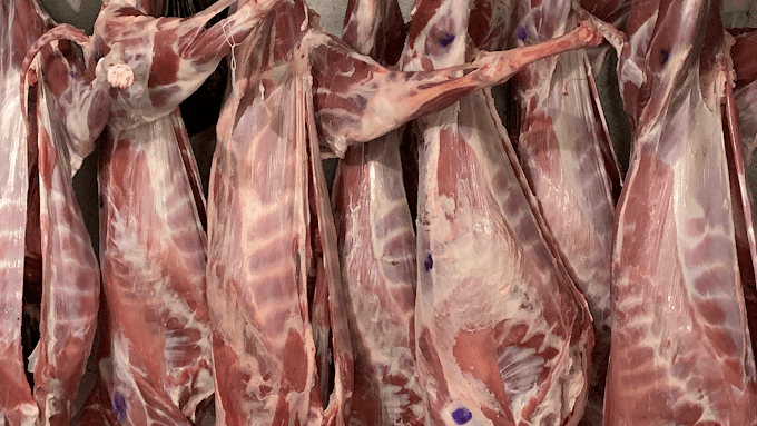 Jerusalem Market & Restaurant