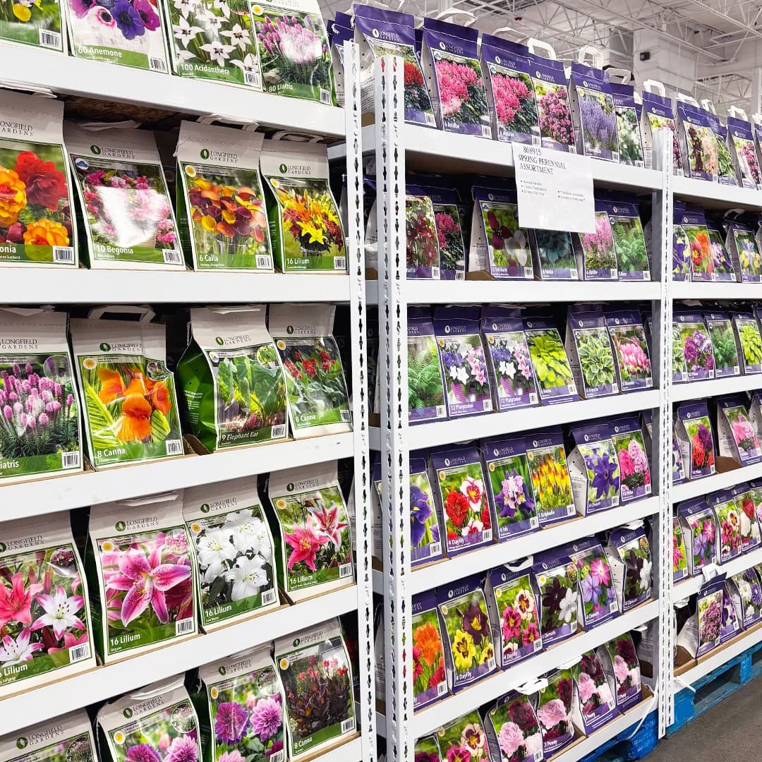 Photo of Costco