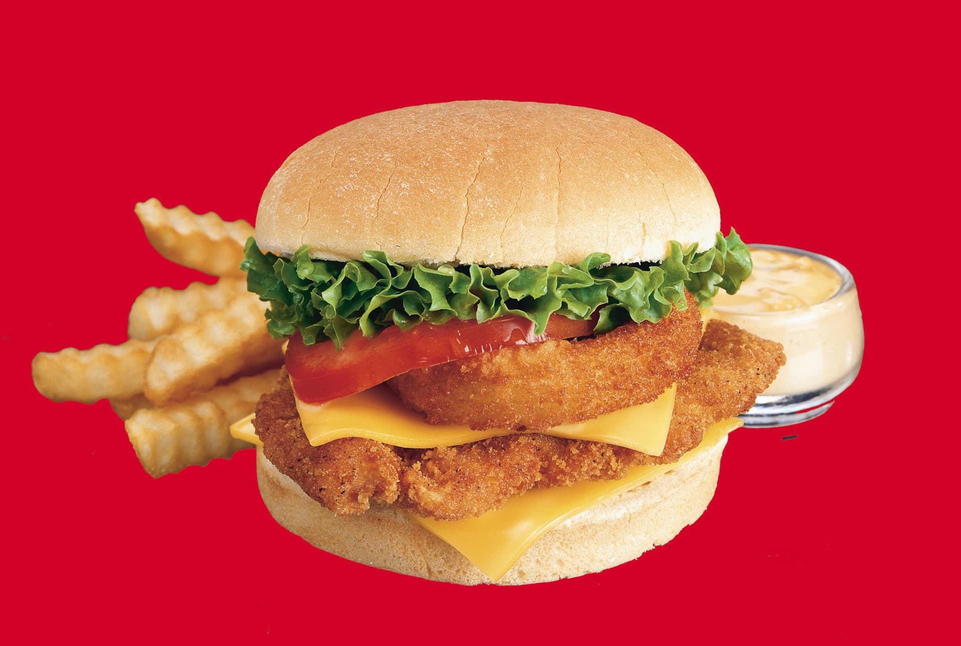 Photo of Pudgie's Famous Chicken