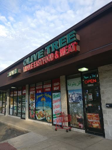 Photo of Olive Tree