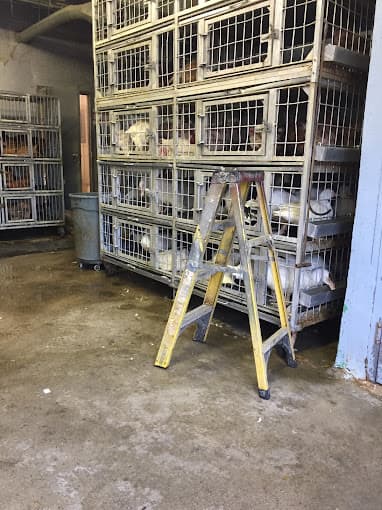 Photo of Springfield Halal Life Poultry